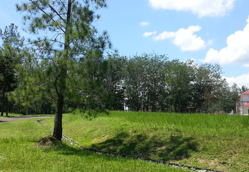 COLLEGE HEIGHTS GARDEN RESORT (PAJAM)