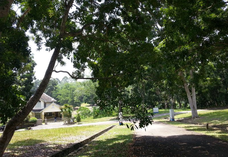 COLLEGE HEIGHTS GARDEN RESORT (PAJAM)