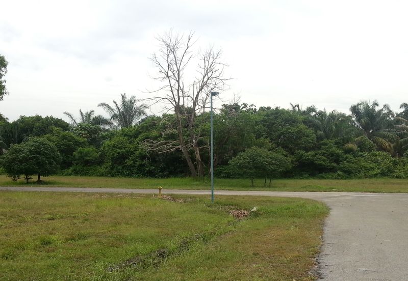 COLLEGE HEIGHTS GARDEN RESORT (PAJAM)