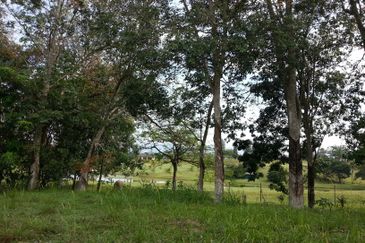 COLLEGE HEIGHTS GARDEN RESORT (PAJAM)