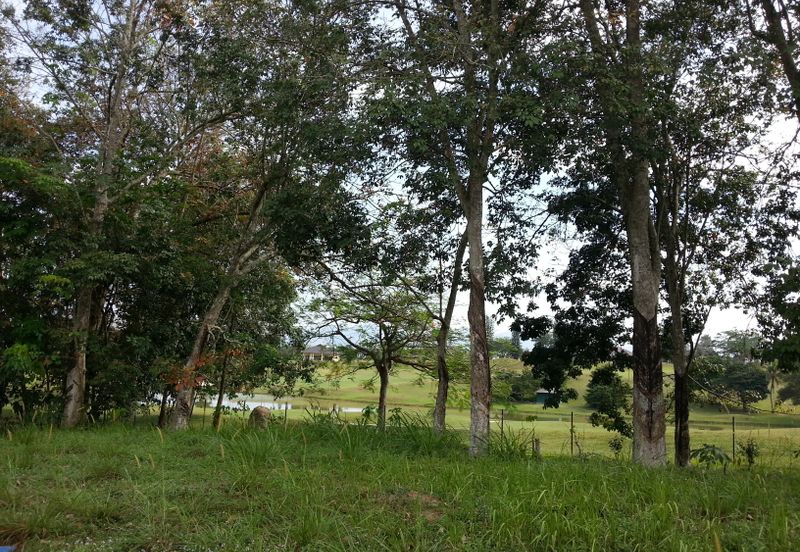 COLLEGE HEIGHTS GARDEN RESORT (PAJAM)