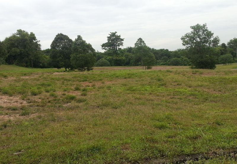 COLLEGE HEIGHTS GARDEN RESORT (PAJAM)