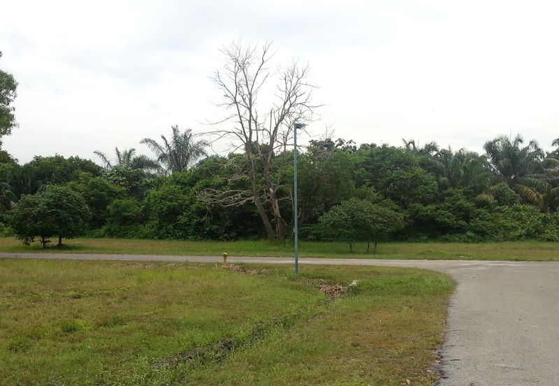 COLLEGE HEIGHTS GARDEN RESORT (PAJAM)