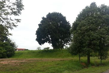 COLLEGE HEIGHTS GARDEN RESORT (PAJAM)