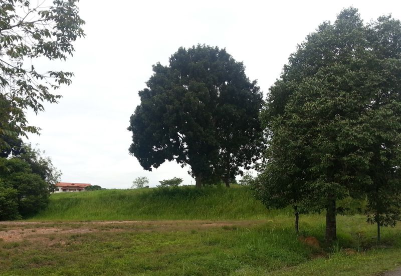 COLLEGE HEIGHTS GARDEN RESORT (PAJAM)