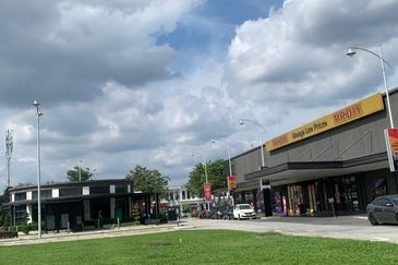 Whitten Eco Majestic