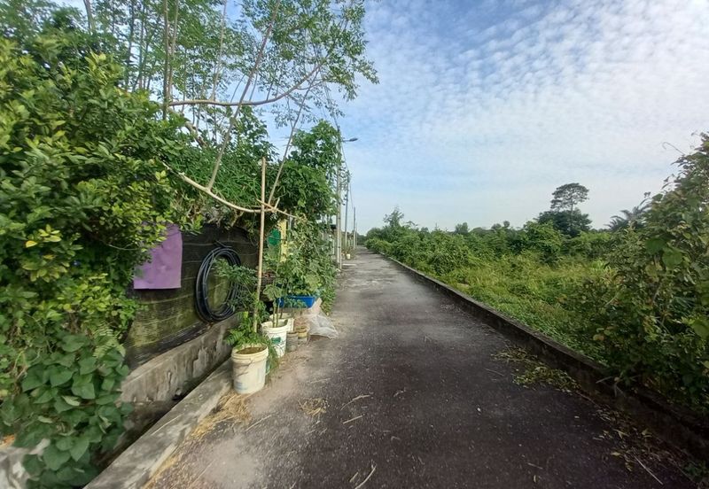 Taman Merpati, Jalan Merpati Putih