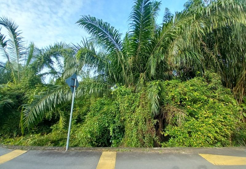 Taman Merpati, Jalan Merpati Putih