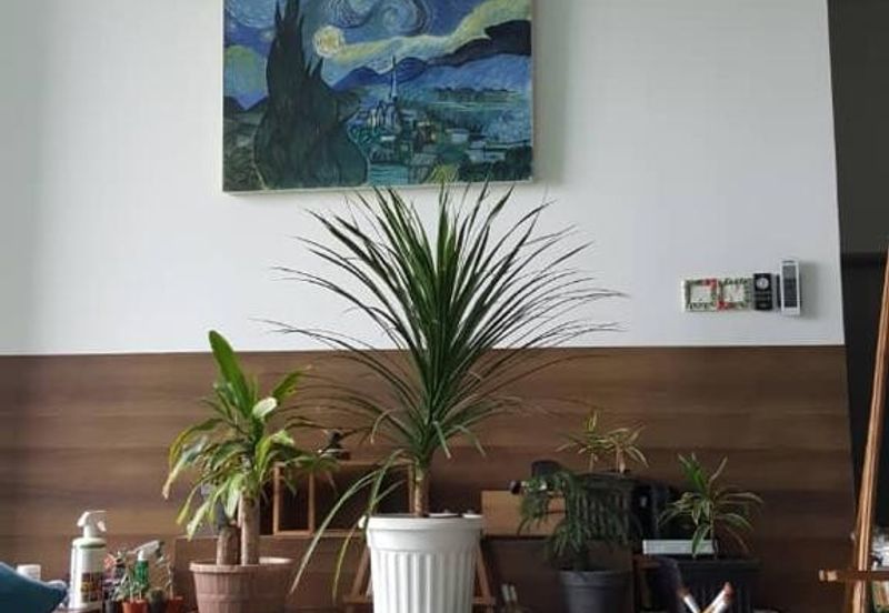 Riverdale @ USJ One Park