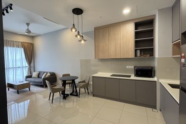 Cyperus @ Tropicana Gardens