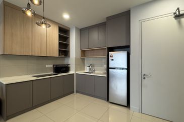 Cyperus @ Tropicana Gardens