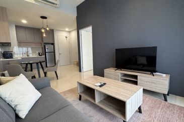 Cyperus @ Tropicana Gardens