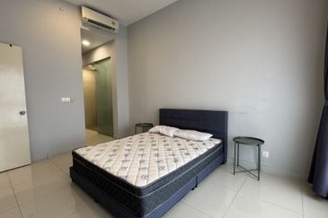 Cyperus @ Tropicana Gardens