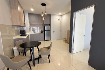 Cyperus @ Tropicana Gardens