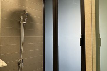 Cyperus @ Tropicana Gardens