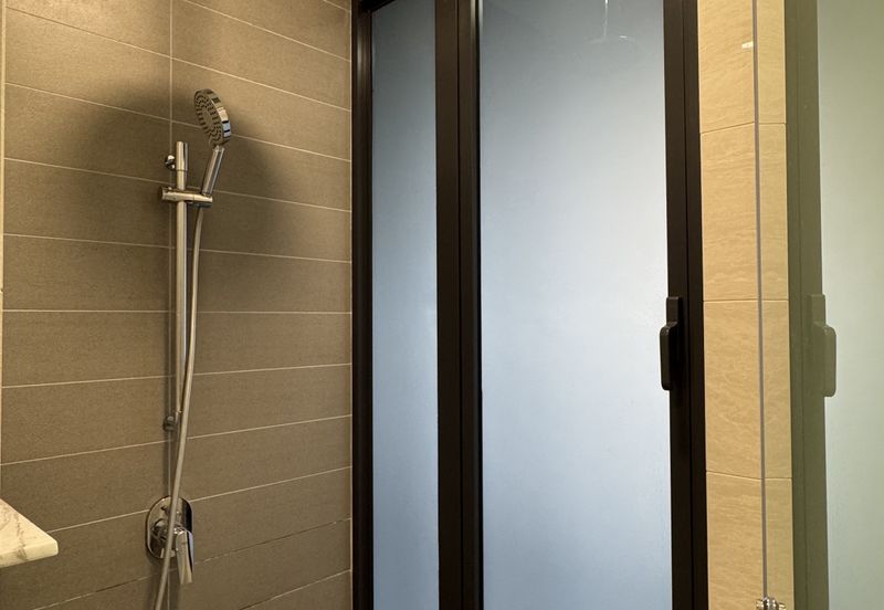 Cyperus @ Tropicana Gardens