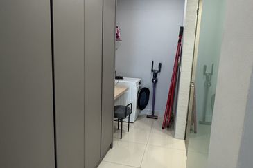 Cyperus @ Tropicana Gardens