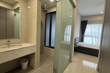 Cyperus @ Tropicana Gardens