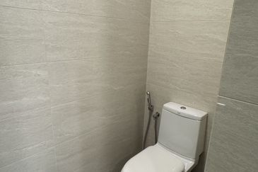 Cyperus @ Tropicana Gardens