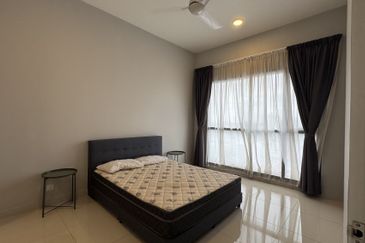 Cyperus @ Tropicana Gardens