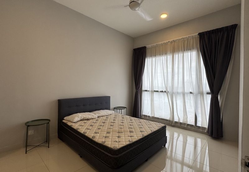 Cyperus @ Tropicana Gardens