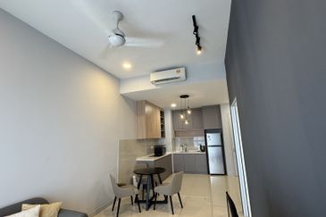 Cyperus @ Tropicana Gardens