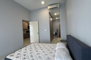 Cyperus @ Tropicana Gardens