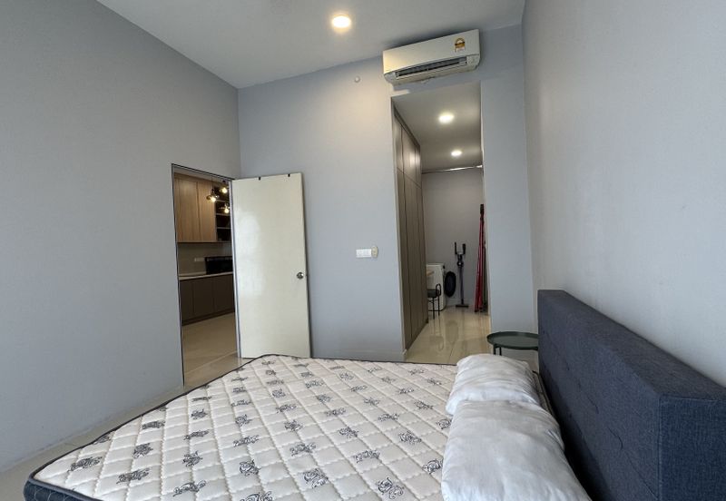 Cyperus @ Tropicana Gardens