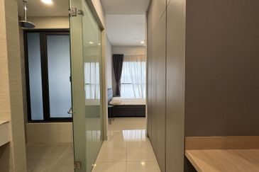 Cyperus @ Tropicana Gardens