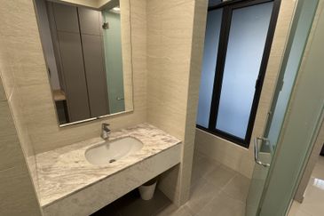 Cyperus @ Tropicana Gardens