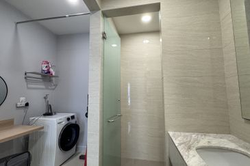 Cyperus @ Tropicana Gardens