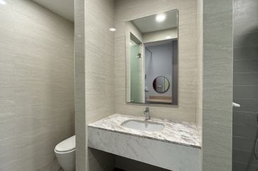 Cyperus @ Tropicana Gardens