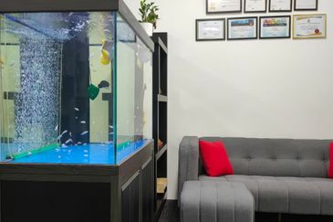 Kenwingston Square Garden