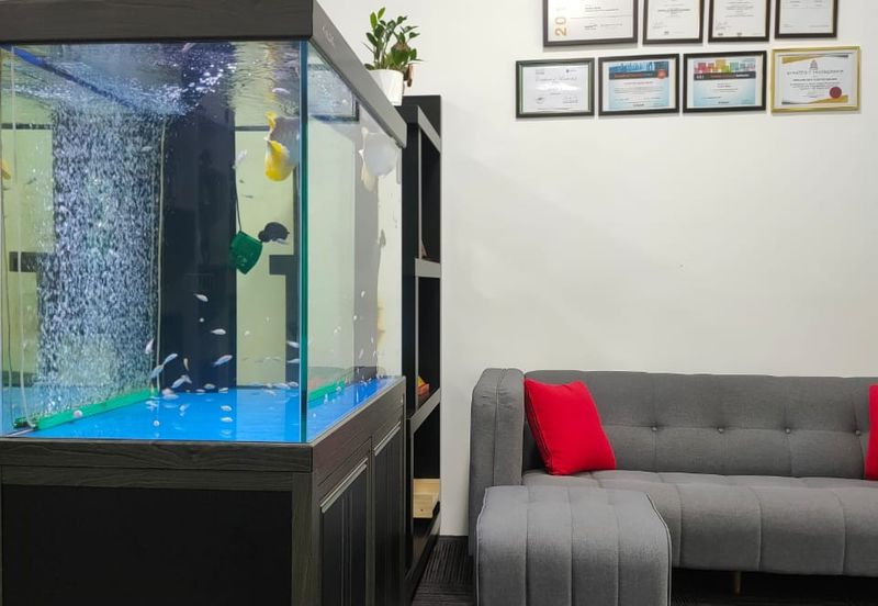 Kenwingston Square Garden