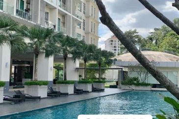 Camelia Service Suite For Sale