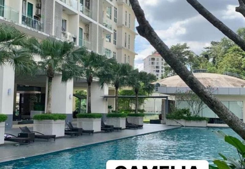 Camelia Service Suite For Sale