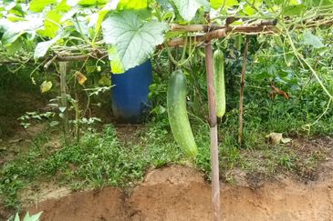 Pekan Ulu Yam (Lama)