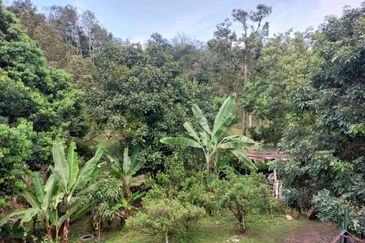 Pekan Ulu Yam (Lama)