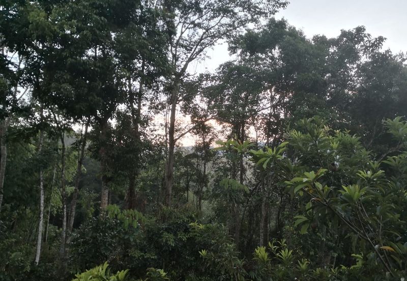 Kerling Industrial Land