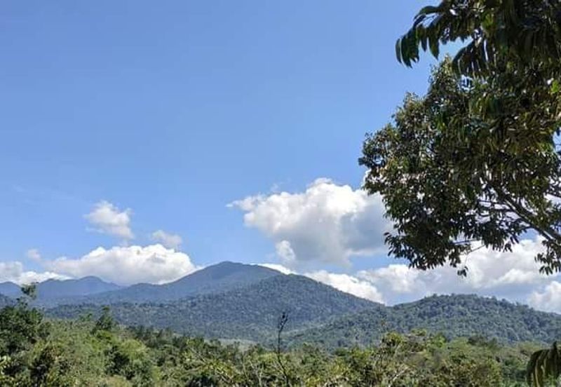 Kerling Industrial Land