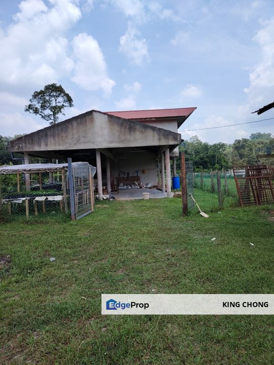 Ulu Yam 10 Acre Freehold Agriculture Land, Selangor, Batang Kali