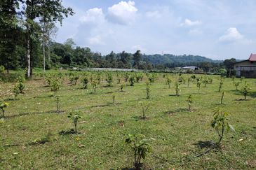 Pekan Ulu Yam (Lama)
