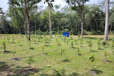 Pekan Ulu Yam (Lama)