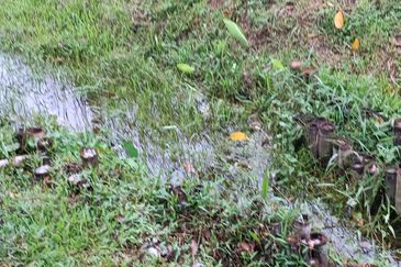 Pekan Ulu Yam (Lama)