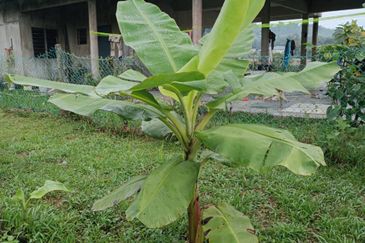 Pekan Ulu Yam (Lama)