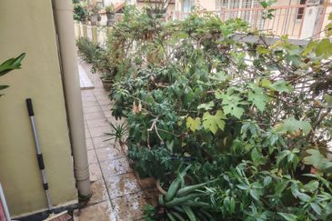 Jalan Spektrum U16 @ Taman Bukit Subang