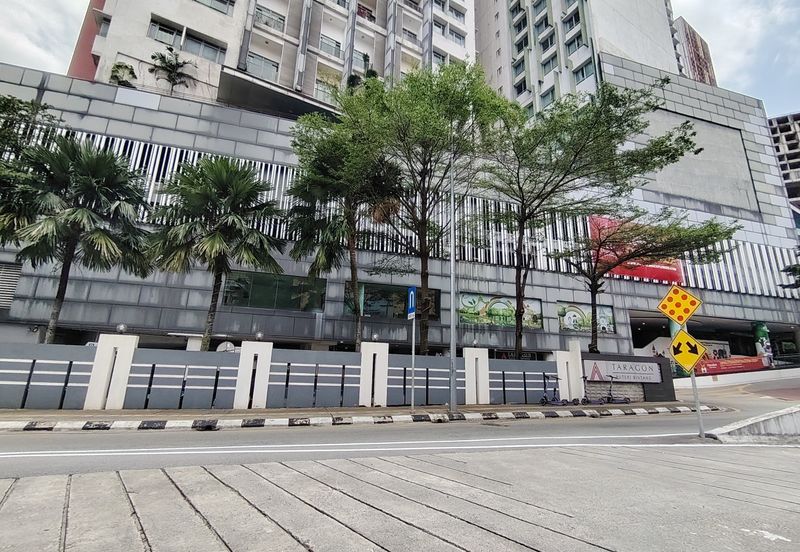 Taragon Puteri Bintang