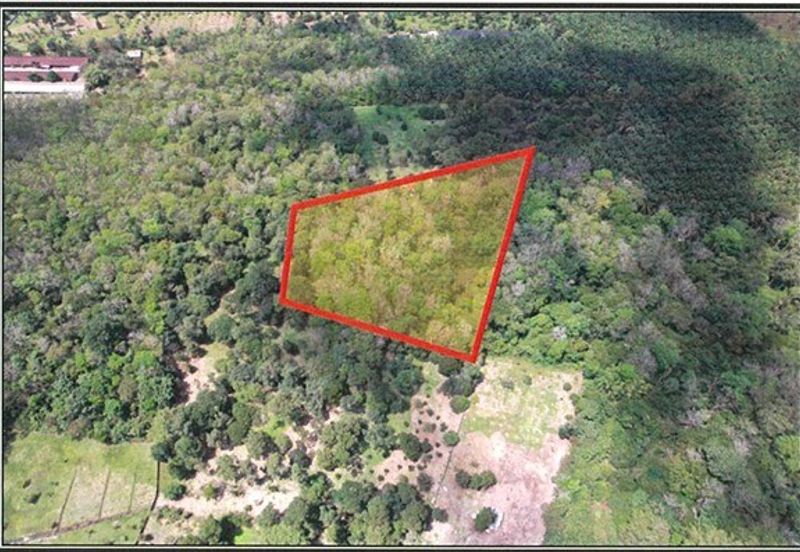 Agriculture land @ jalan Kampung Sentosa, Batang Kali, Ulu Selangor 1.8km away from batang Kali town.