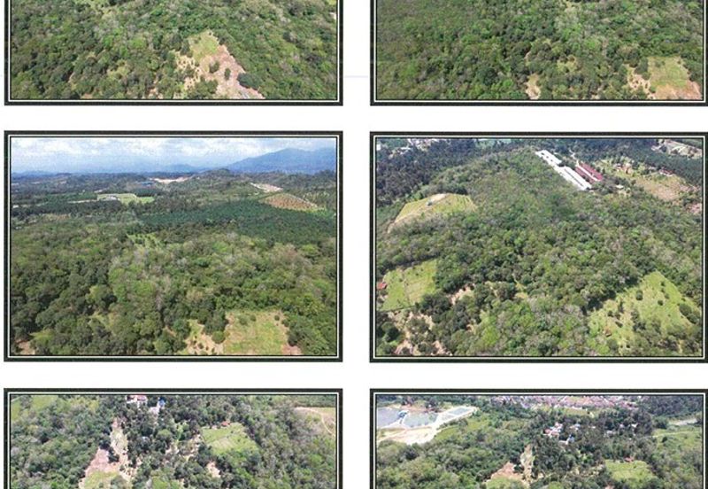 Agriculture land @ jalan Kampung Sentosa, Batang Kali, Ulu Selangor 1.8km away from batang Kali town.