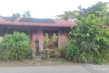 TAMAN INDAH(POKOK SENA)